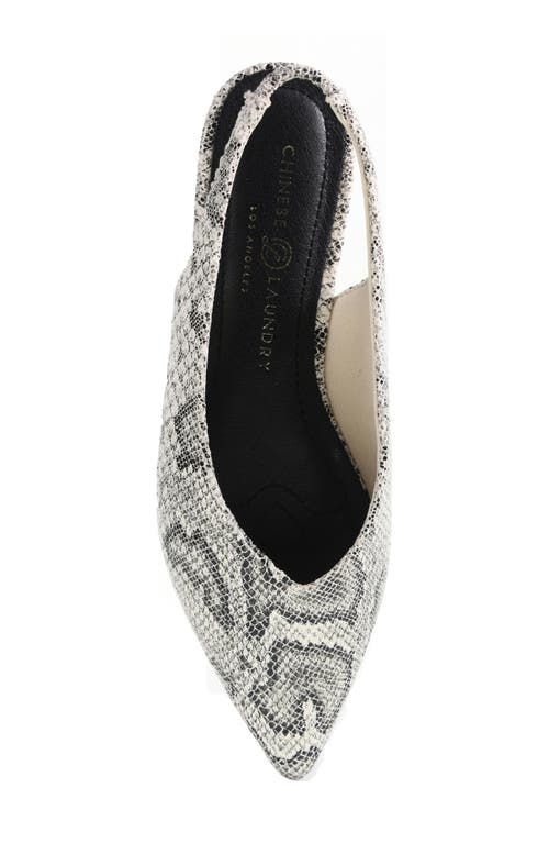 Chinese Laundry Hadiya Pointed Toe Slingback Flat In Cream Snake Embossed
