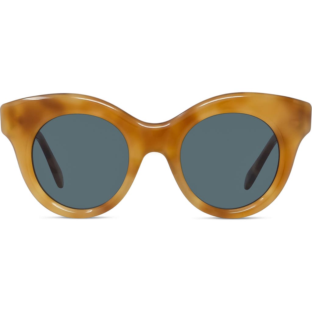 Loewe Curvy 49mm Small Round Sunglasses In Brown