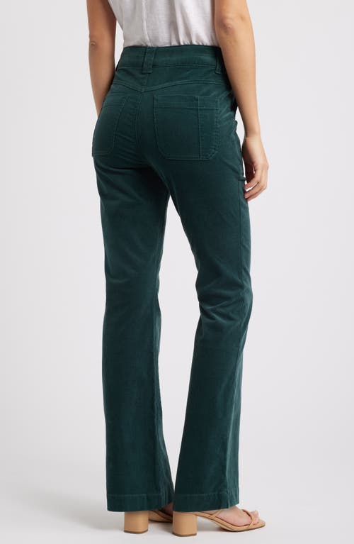 Wit & Wisdom Madison 'ab'solution High Waist Bootcut Corduroy Pants In Dusty Spruce