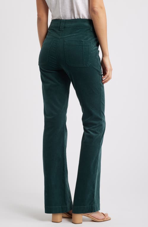 Shop Wit & Wisdom Madison 'ab'solution High Waist Bootcut Corduroy Pants In Dusty Spruce