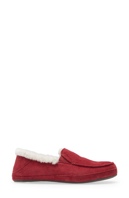 Olukai Ku'una Genuine Shearling Slipper In Lilikoi/lilikoi