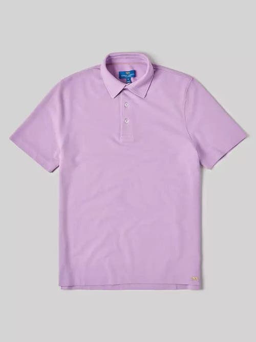 Shop Robert Talbott Walker Short Sleeve Polo In Lavender