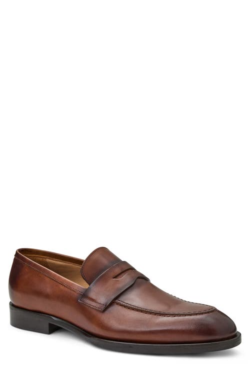 Shop Bruno Magli Payton Penny Loafer In Cognac