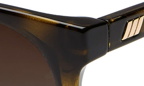 Le Specs Armada 54mm Cat Eye Sunglasses In Tortoise/khaki Gradient