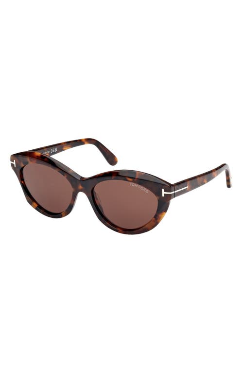 Shop Tom Ford Toni 55mm Oval Sunglasses In Shiny Dark Havana/brown