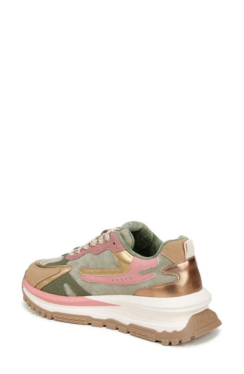 Blowfish Footwear Leo Sneaker In Sage/berry Microsuede