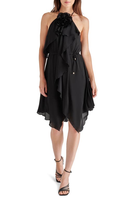 Florentina Rosette Ruffle Georgette Halter Dress in Black