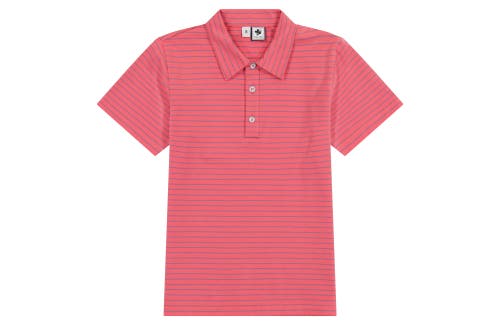 Busy Bees Short Sleeve Polo In Red Mini Navy Stripe