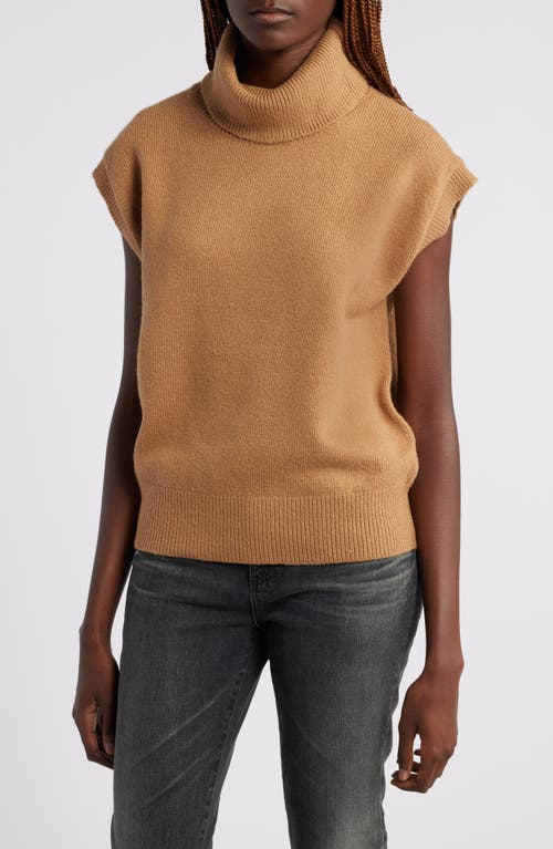 Shop Treasure & Bond Short Dolman Sleeve Cotton Blend Turtleneck Sweater In Brown Bear