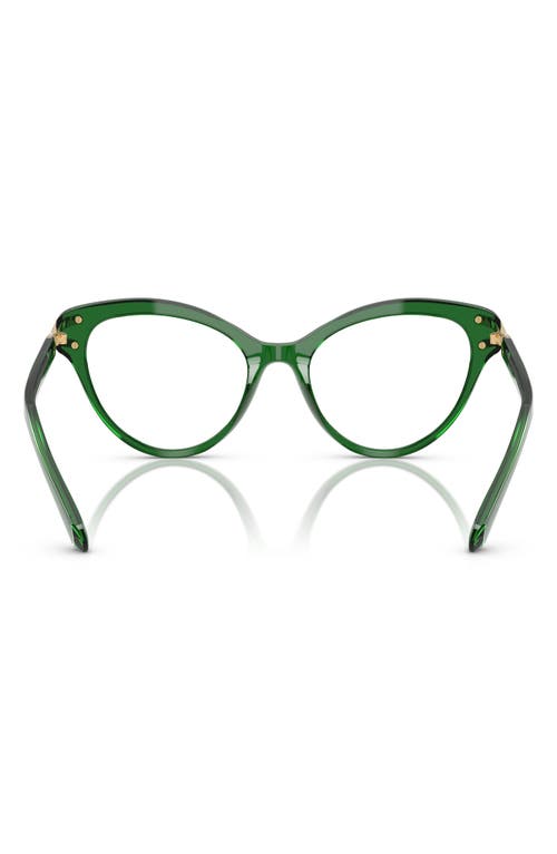 Swarovski 53mm Cat Eye Optical Glasses In Transparent Green