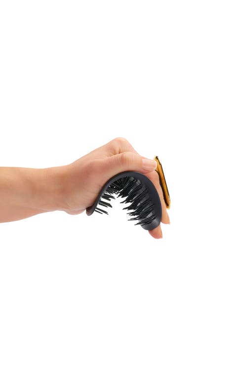 Shop Manta Healthy Hair Brush In Black