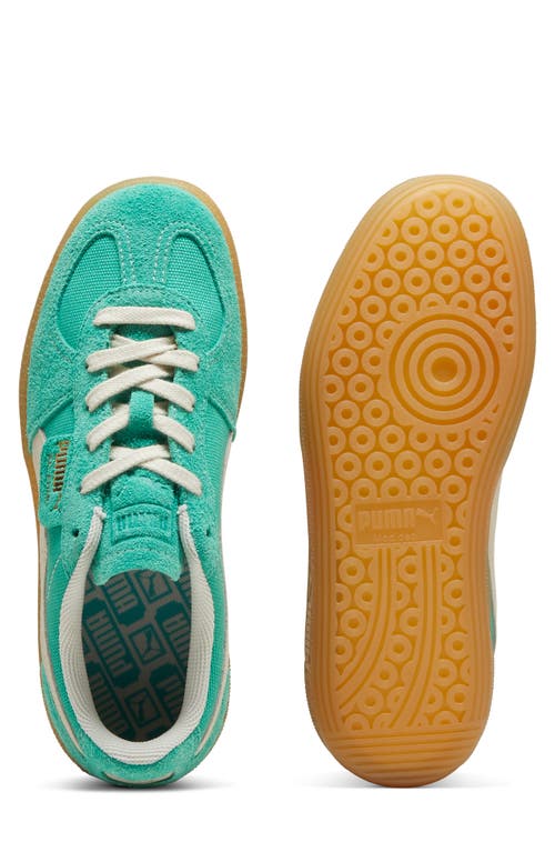 Shop Puma Palermo Sneaker In Jade Frost-frosted Ivory-gum