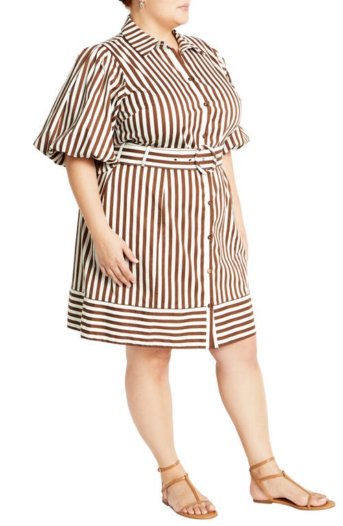 Shop City Chic May Stripe Stretch Poplin Shirtdress In Tabacco Stripe