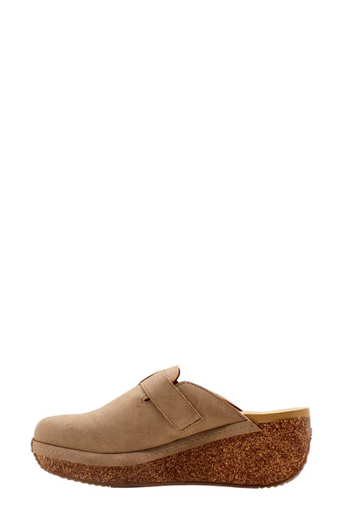 VOLATILE VOLATILE THAYER PLATFORM WEDGE CLOG