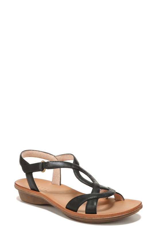 Natural Soul Solo Ankle Strap Sandal In Black Synthetic