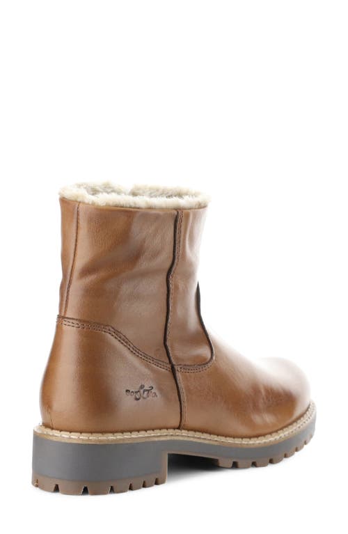 Shop Bos. & Co. Calib Waterproof Bootie In Rich Tan