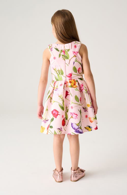 Shop Ted Baker Baker By  Kids' Rose Print Scuba Dress In Pink