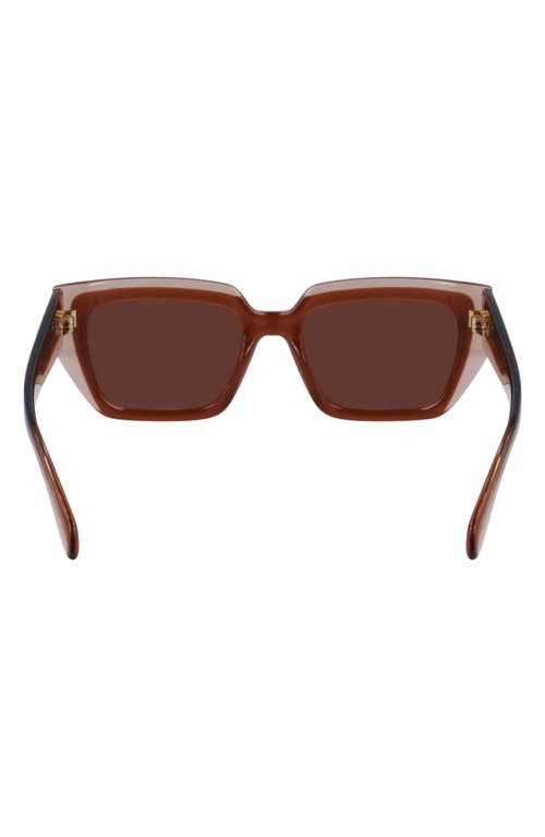 Ferragamo Classic Logo 55mm Square Sunglasses In Trnsprnt Nude/ Rose