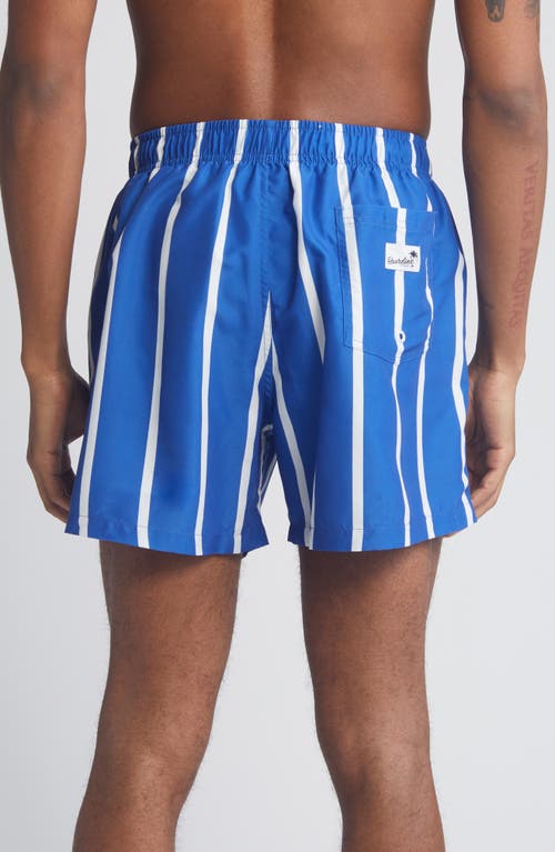 Shop Boardies Watson Stripe Mid Length Swim Trunks In Navy/white