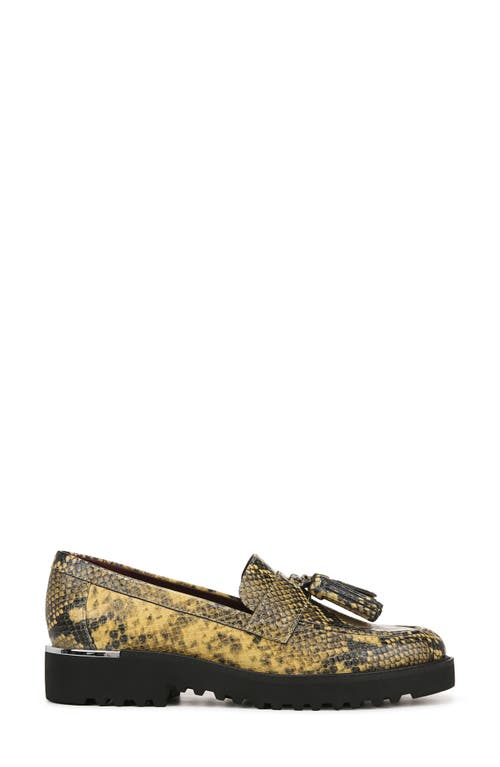 Shop Franco Sarto Carolynn Tassel Loafer In Green