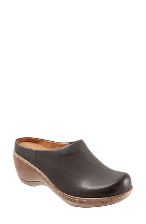 SoftWalk Madison Clog Dark Leather at Nordstrom