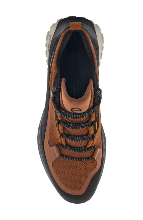 Shop Ecco Ult-trn Low Waterproof Hiking Shoe In Black/cognac