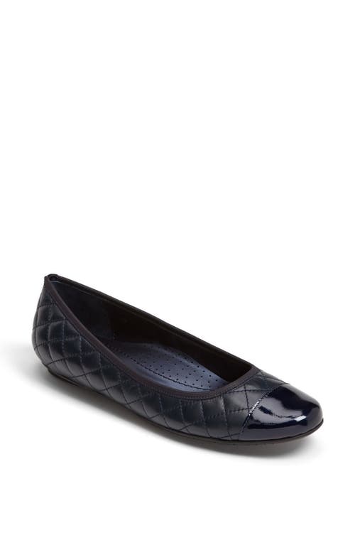Vaneli 'serene' Flat In Navy Nappa/patent