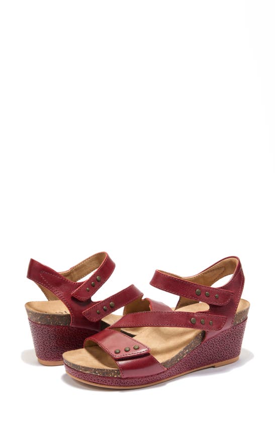 Shop Halsa Footwear Gisella Wedge Sandal In Dark Red