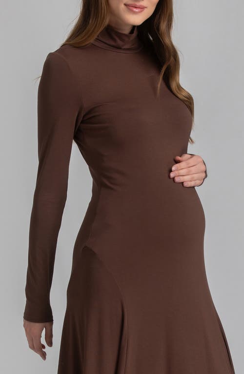 Pietro Brunelli Long Sleeve Jersey Maxi Maternity Dress In Medium Brown
