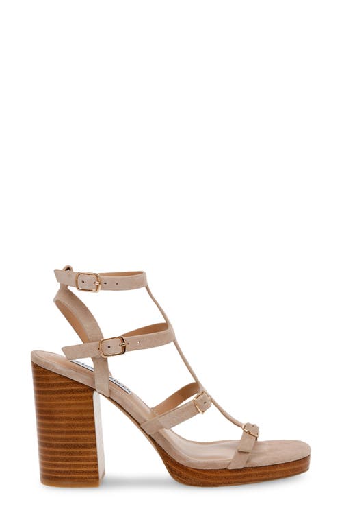 Steve Madden Daelene Ankle Strap Sandal In Sand Suede