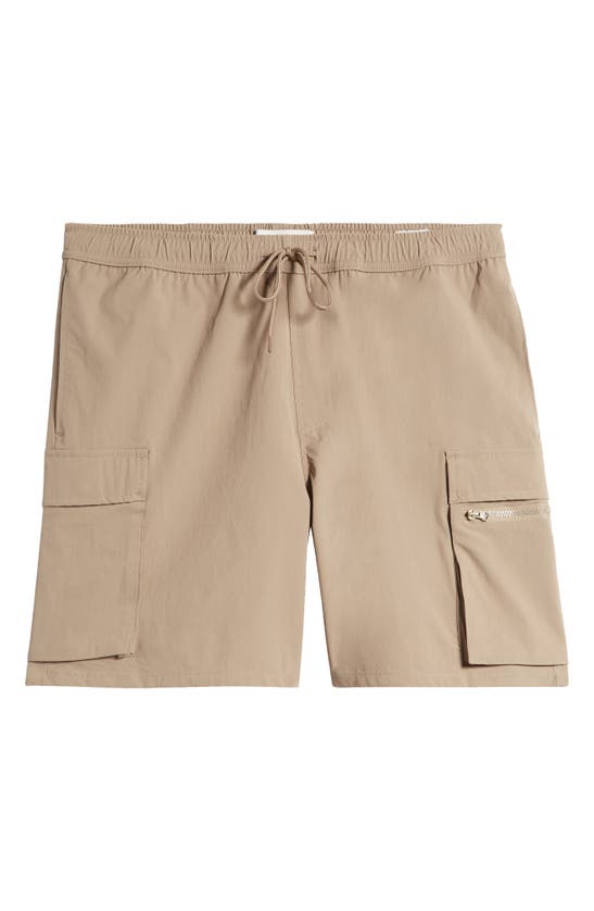 Shop Pacsun Ethan Cargo Shorts In Brown