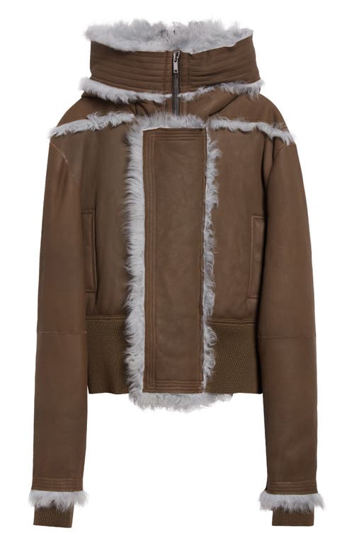 Shop Rick Owens Alice Genuine Shearling Trim Leather Jacket In Bean/pale Blue