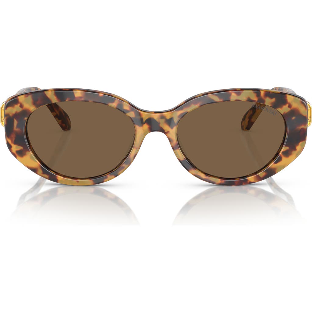 Swarovski 53mm Oval Sunglasses In Brown