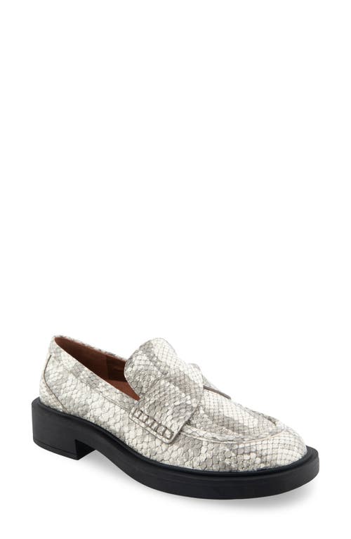 Shop Aerosoles Garett Penny Loafer In Roccia Snake Print Leather