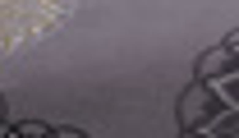 SOUTHSHORE FINE LINENS PREMIUM COLLECTION OVERSIZED COMFORTER SET