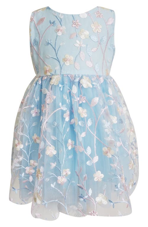 Popatu Floral Embroidered Party Dress Blue at Nordstrom,