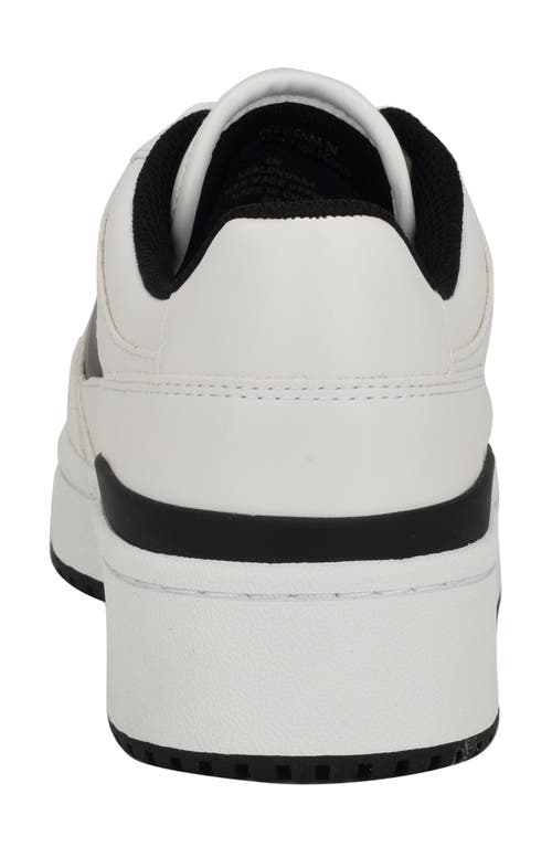 Shop Calvin Klein Alondra Platform Sneaker In White/black