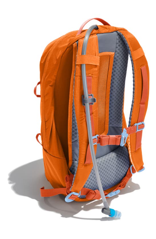 Hydro Flask Down Shift Hydration Pack In Bronze