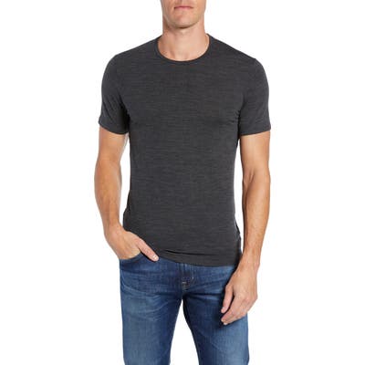 Icebreaker Anatomica Short Sleeve Crewneck T-Shirt