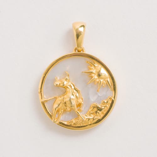 Shop Freya Rose Zodiac Pendant In Taurus