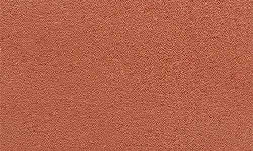 Royce New York Leather Card Case In Tan- Silver Foil