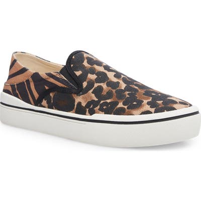 Steven By Steve Madden Riga Sneaker- Brown
