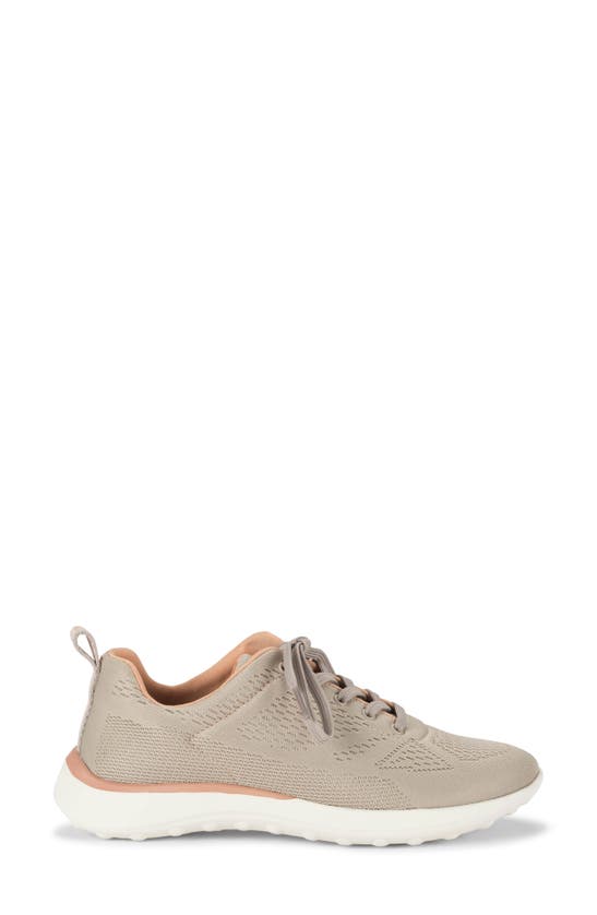 Shop Baretraps Gayle Sneaker In Taupe