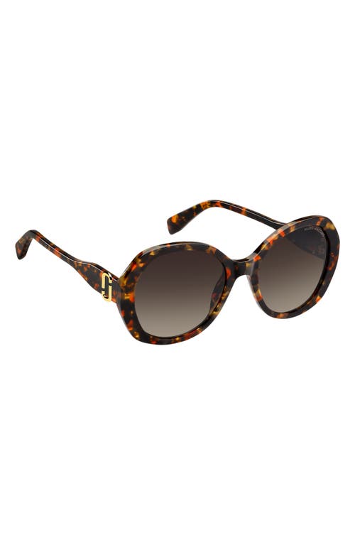Marc Jacobs 55mm Gradient Oval Sunglasses In Brown
