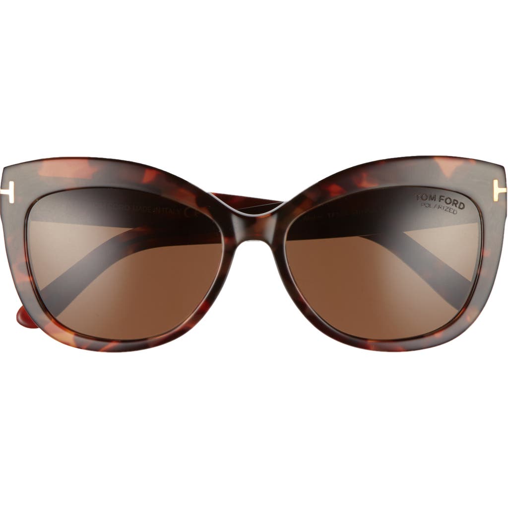 Shop Tom Ford Alistair 56mm Gradient Sunglasses In Red Havana/brown Polarized