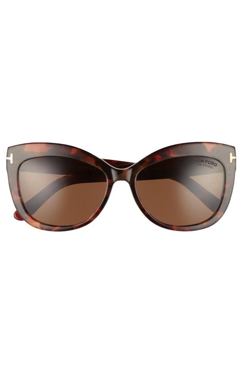 Shop Tom Ford Alistair 56mm Gradient Sunglasses In Red Havana/brown Polarized