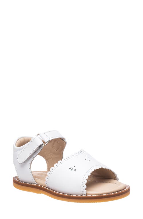 Elephantito Classic Sandal in White