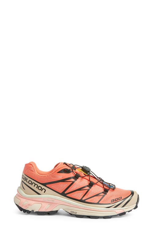 Shop Salomon Gender Inclusive Xt-6 Sneaker In Living Coral/black/cement