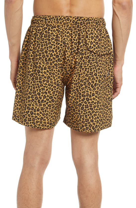 Purple Brand Leopard Print Logo Swim Shorts In B.l. Swim Shorts