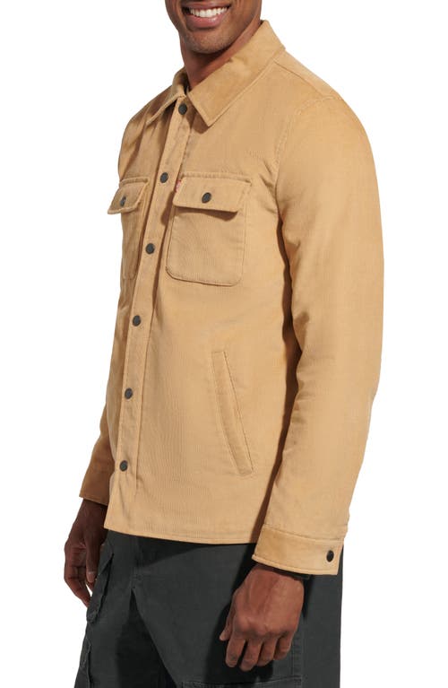 Shop Levi's Cotton Corduroy Shacket In Tan